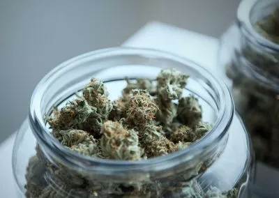 chemmy jones cannabis strain