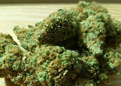 jet fuel cannabis strain